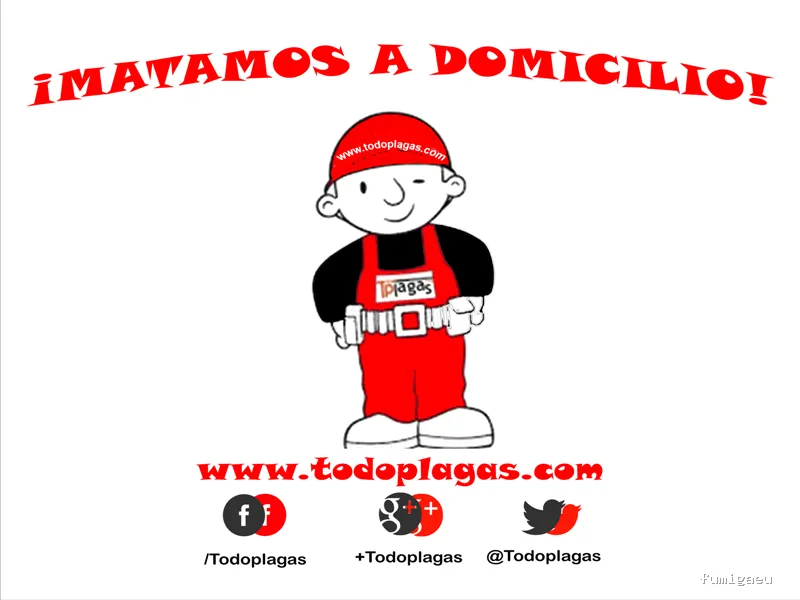 TodoPlagas Barcelona - Fumigación y control de plagas