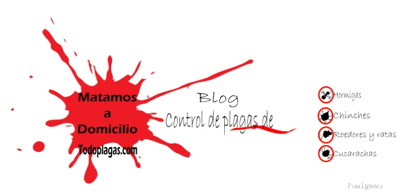 TodoPlagas Barcelona - Fumigación y control de plagas
