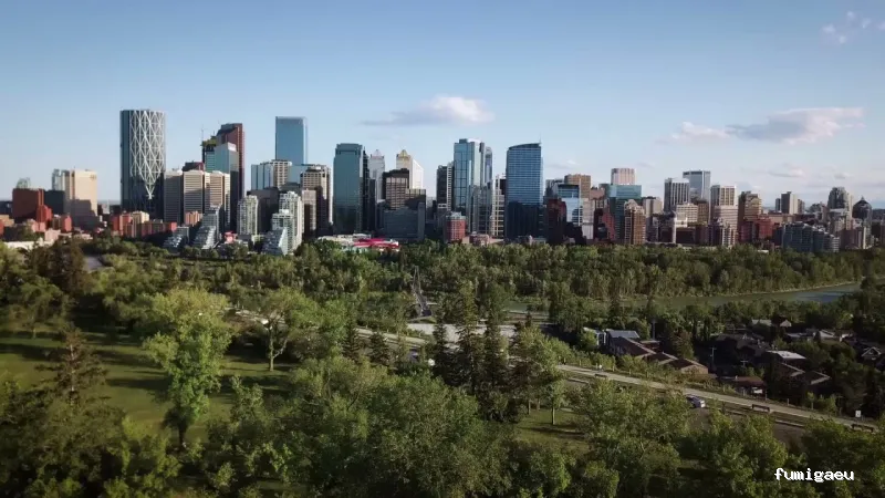 Anticimex 3D Castilla León