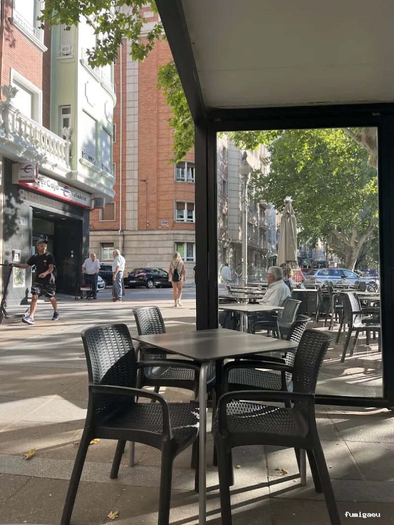 Anticimex 3D Castilla León