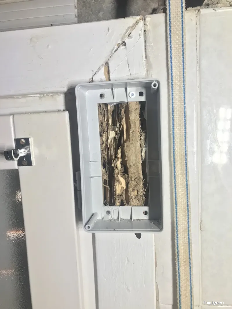 DICCO CONTROL DE PLAGAS