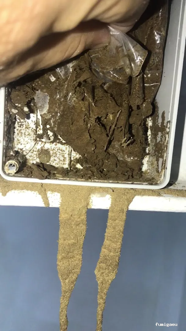 DICCO CONTROL DE PLAGAS