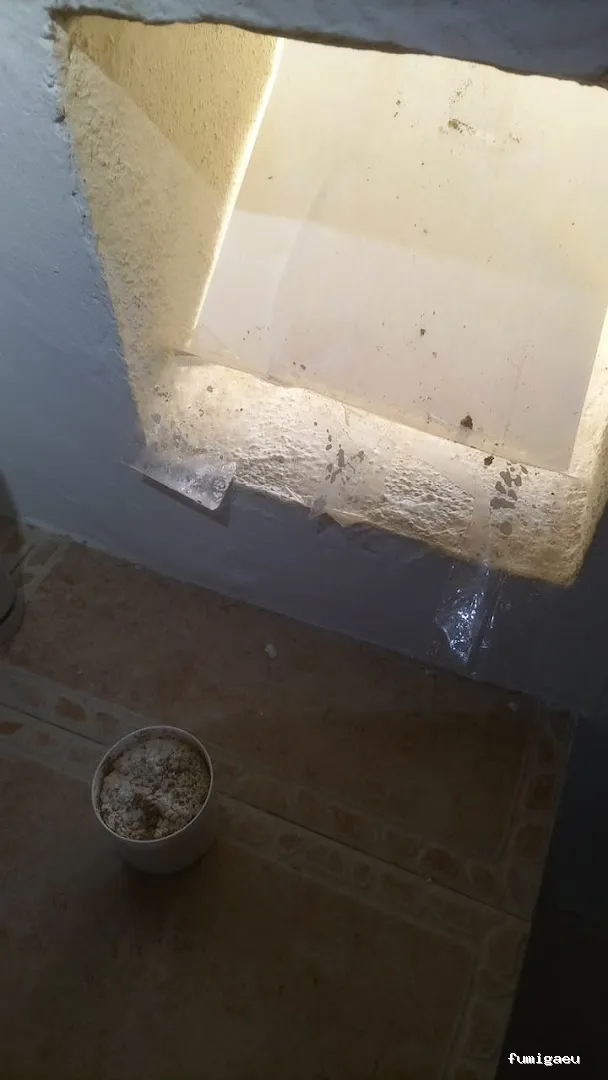 PLASERMAN SALUD PÚBLICA SL Control de Plagas Valencia