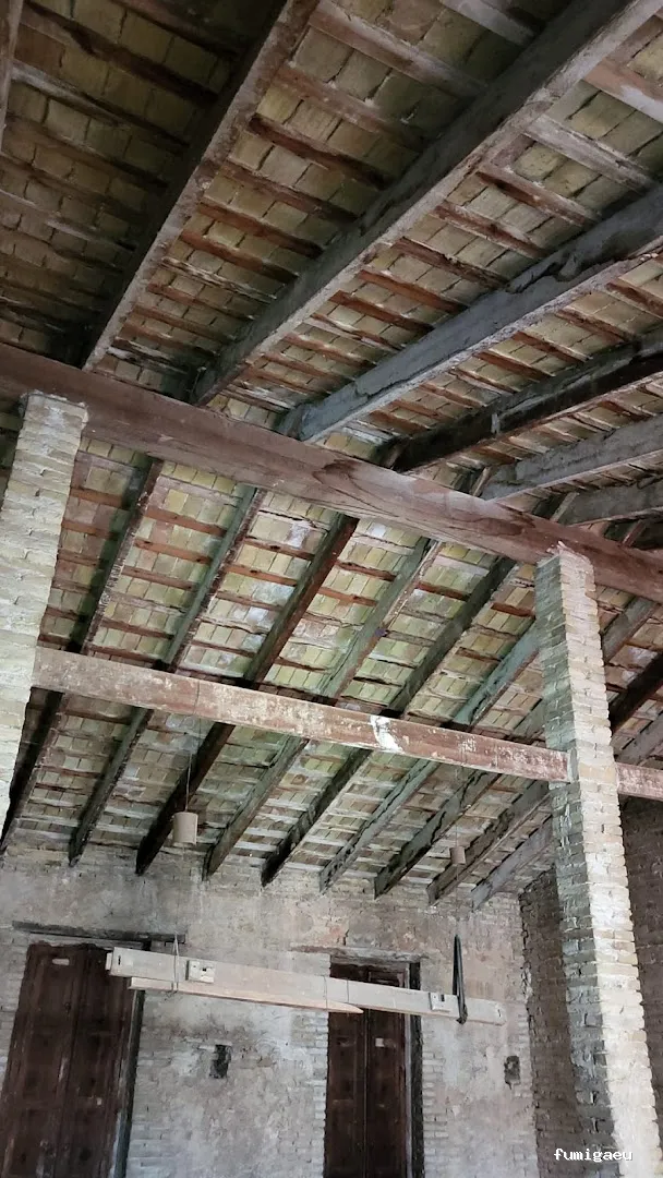 PLASERMAN SALUD PÚBLICA SL Control de Plagas Valencia