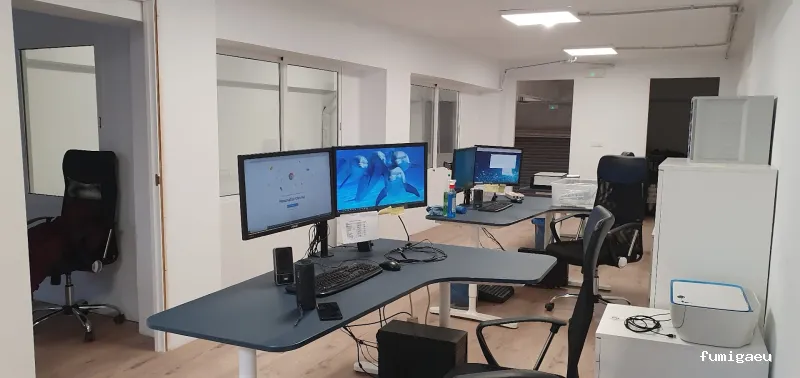 PLASERMAN SALUD PÚBLICA SL Control de Plagas Valencia