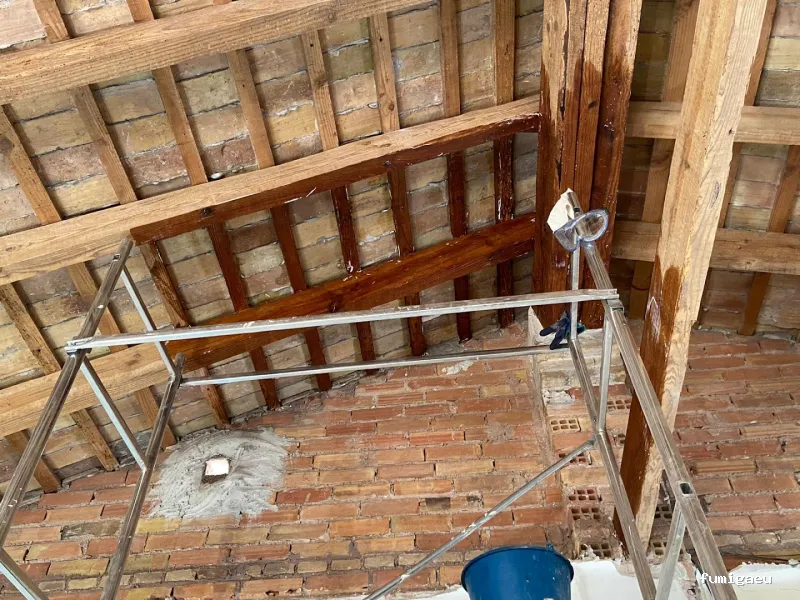 PLASERMAN SALUD PÚBLICA SL Control de Plagas Valencia