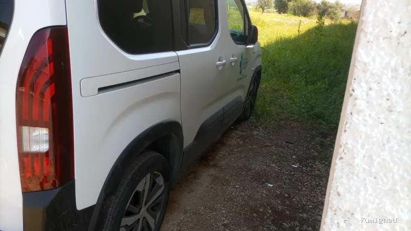 PLASERMAN SALUD PÚBLICA SL Control de Plagas Valencia