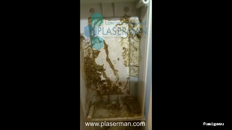 PLASERMAN SALUD PÚBLICA SL Control de Plagas Valencia