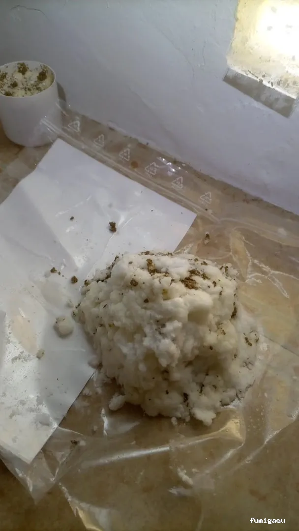 PLASERMAN SALUD PÚBLICA SL Control de Plagas Valencia