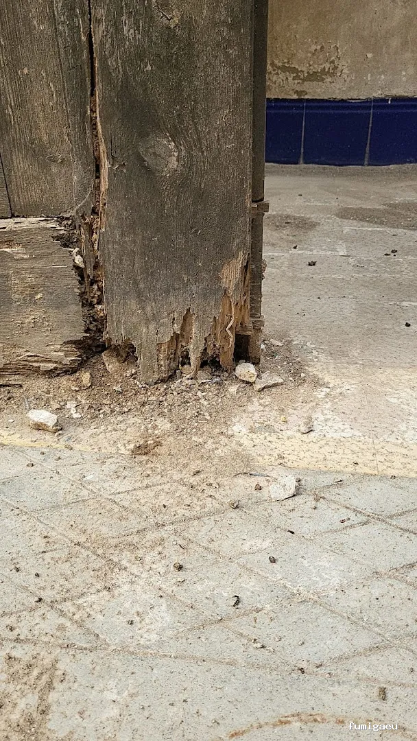 PLASERMAN SALUD PÚBLICA SL Control de Plagas Valencia