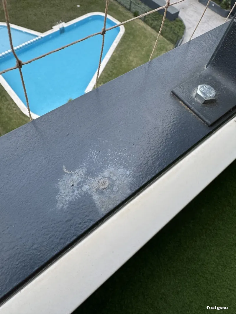 PLASERMAN SALUD PÚBLICA SL Control de Plagas Valencia