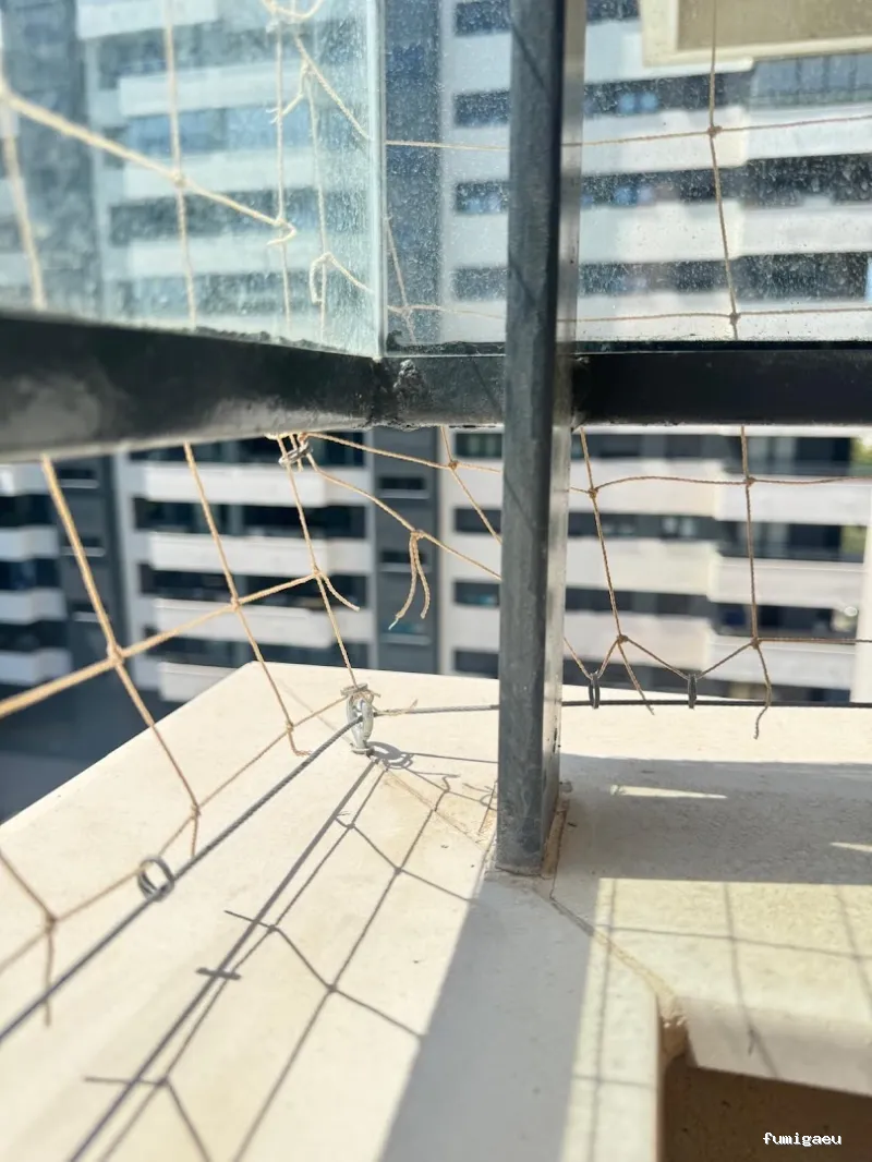 PLASERMAN SALUD PÚBLICA SL Control de Plagas Valencia