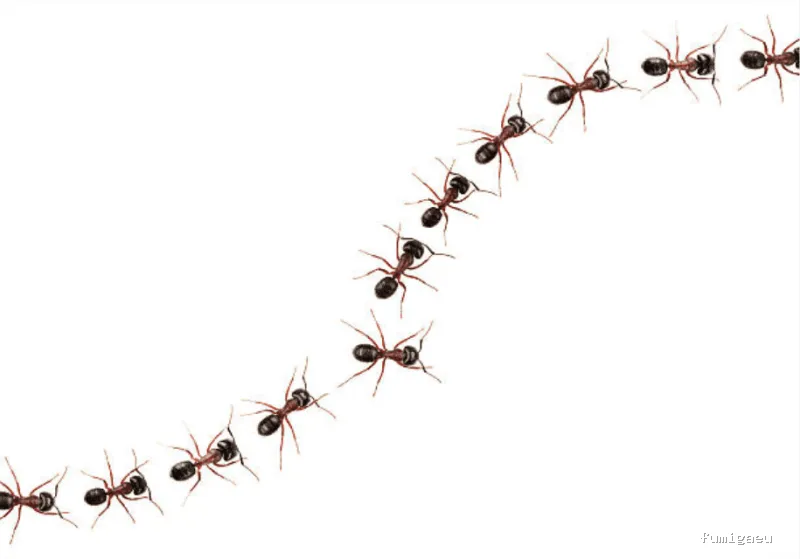 Servicio Integral De Control Ambiental