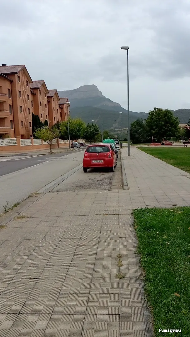 Raíces Verticales, Arboricultura, Poda y Tala