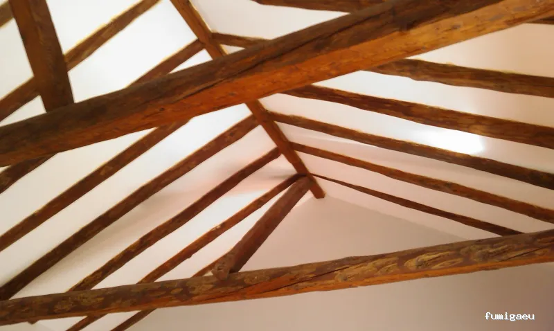 P&H Control De Plagas