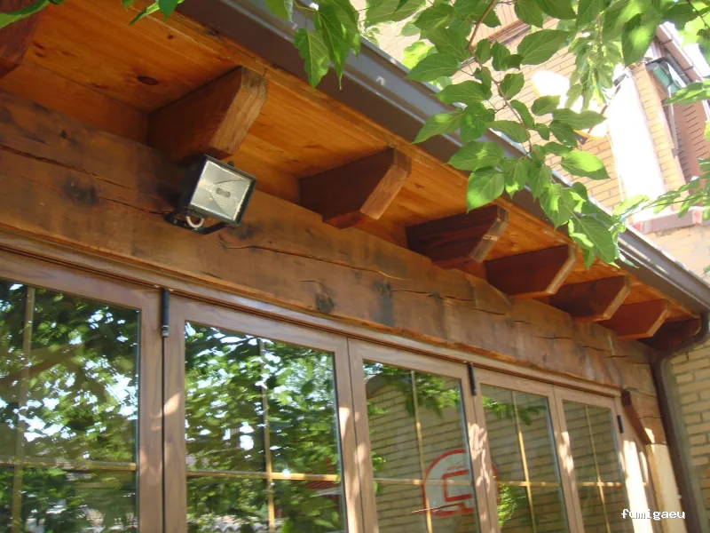 P&H Control De Plagas