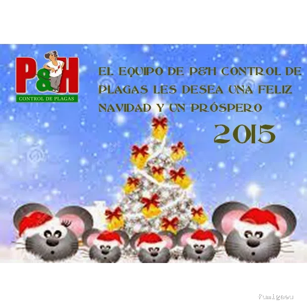 P&H Control De Plagas