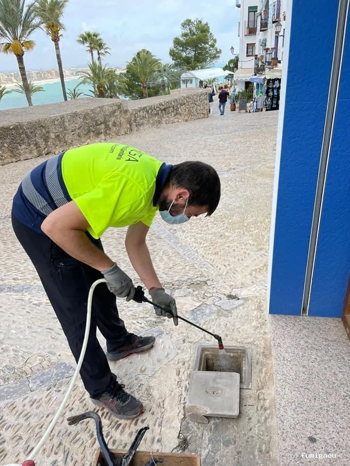 TRAHICSA (Tractaments Higiènics Sanitaris del Llevant S.L.)