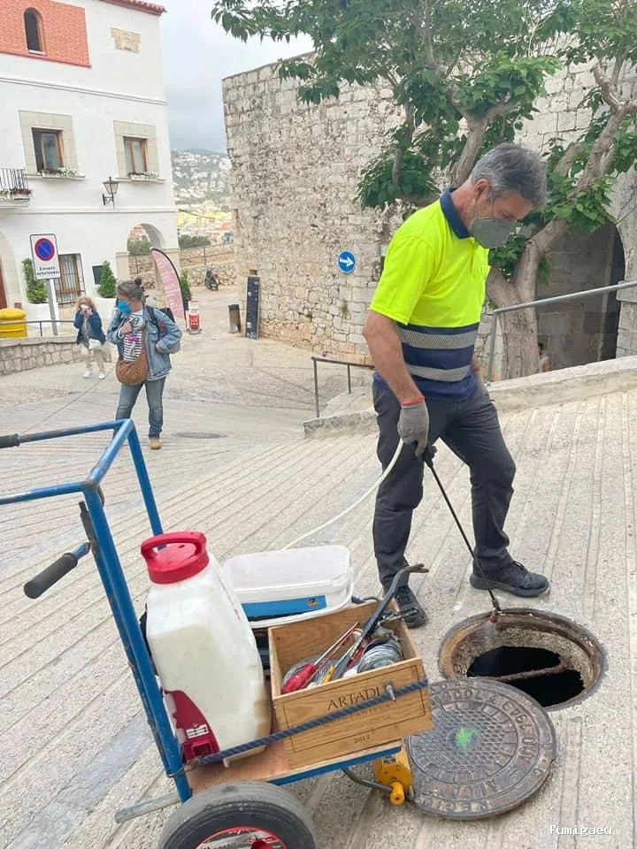 TRAHICSA (Tractaments Higiènics Sanitaris del Llevant S.L.)