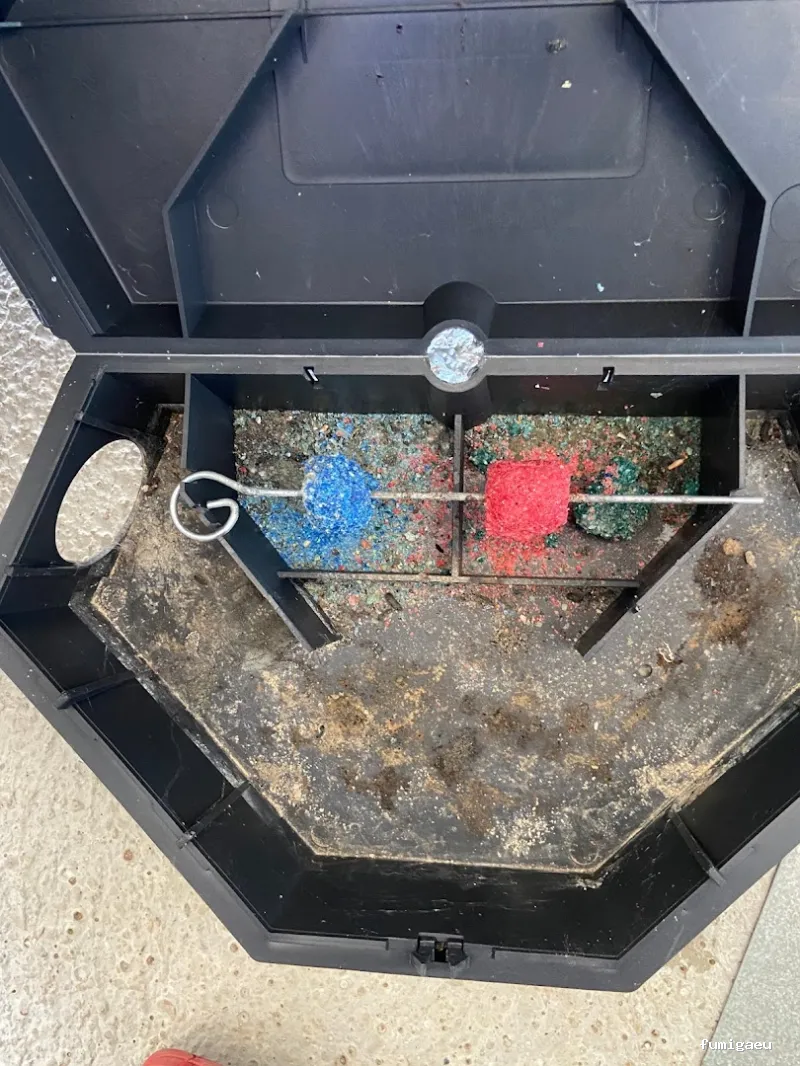 TRAHICSA (Tractaments Higiènics Sanitaris del Llevant S.L.)