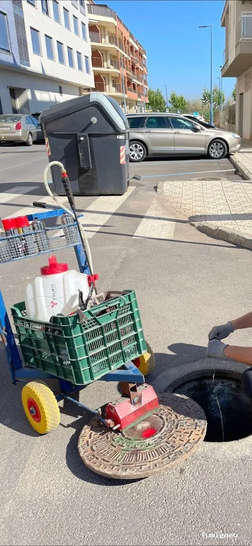 TRAHICSA (Tractaments Higiènics Sanitaris del Llevant S.L.)