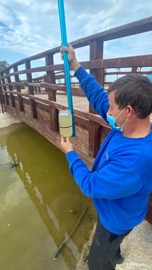 TRAHICSA (Tractaments Higiènics Sanitaris del Llevant S.L.)