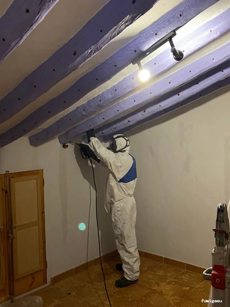 TRAHICSA (Tractaments Higiènics Sanitaris del Llevant S.L.)