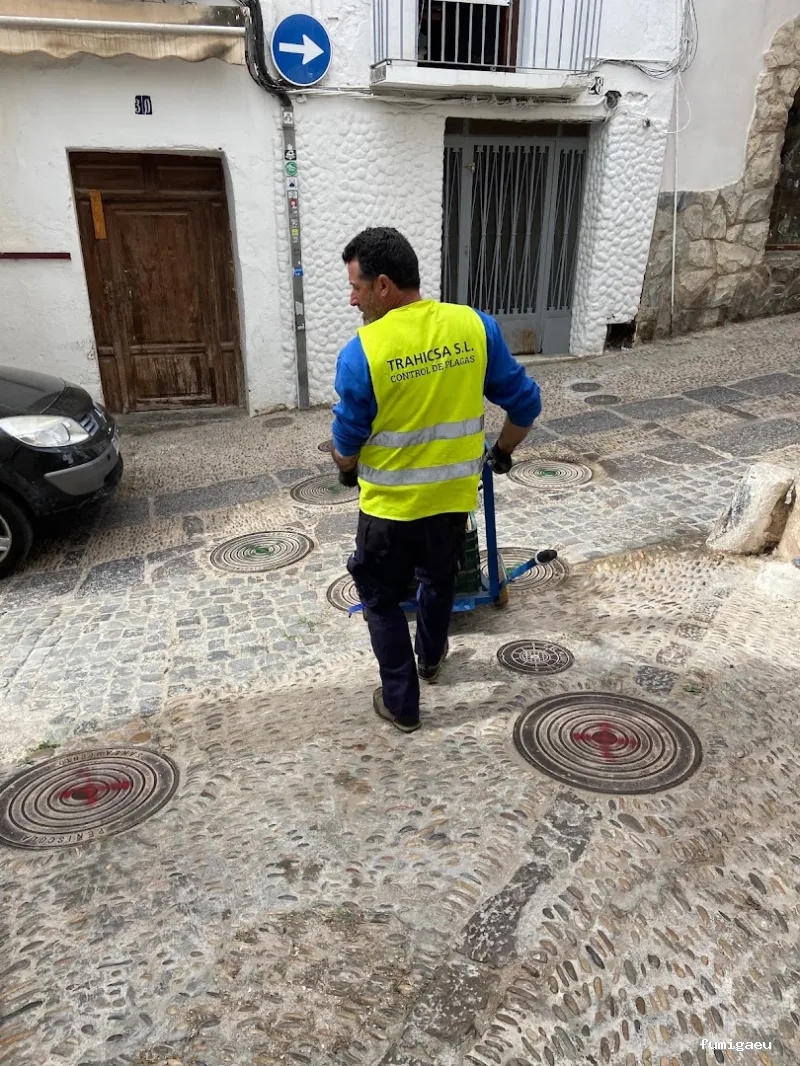 TRAHICSA (Tractaments Higiènics Sanitaris del Llevant S.L.)