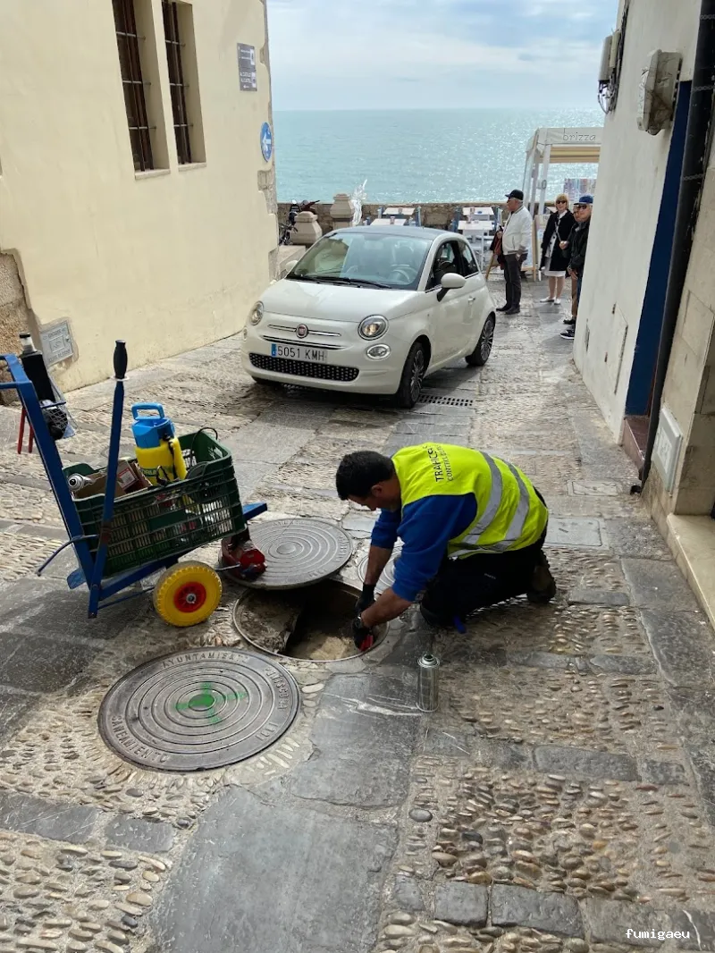 TRAHICSA (Tractaments Higiènics Sanitaris del Llevant S.L.)