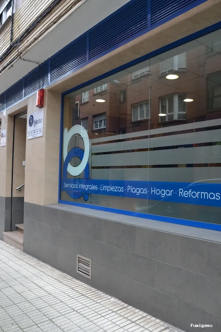 Limpiezas Brillastur