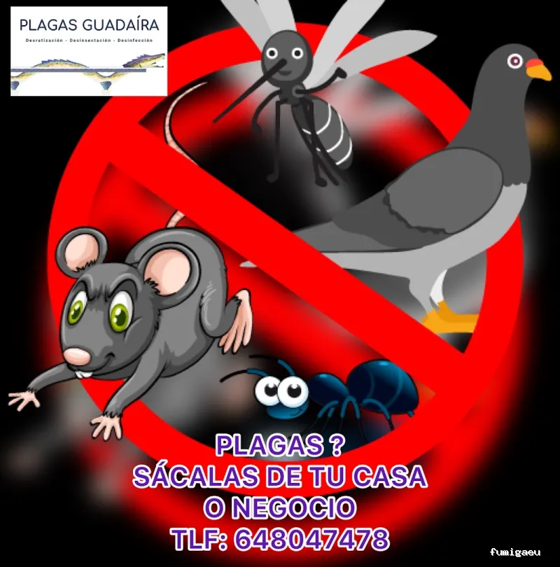 Plagas Guadaíra