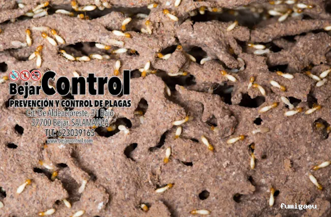 BejarControl