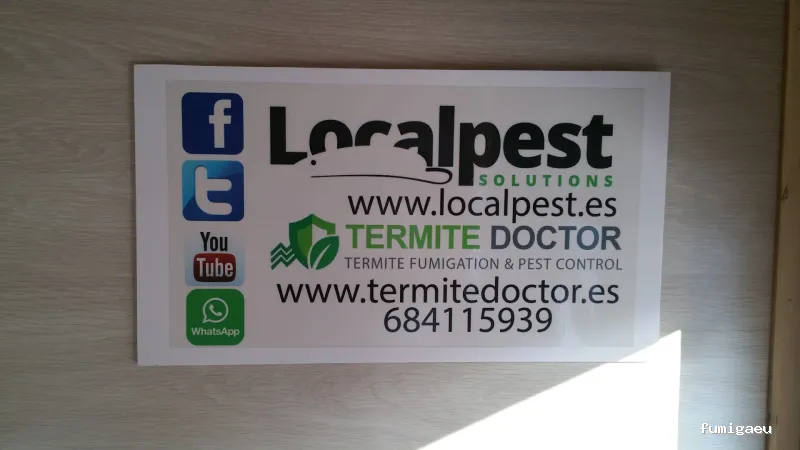 Termites Costa Del Sol