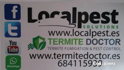 Termites Costa Del Sol