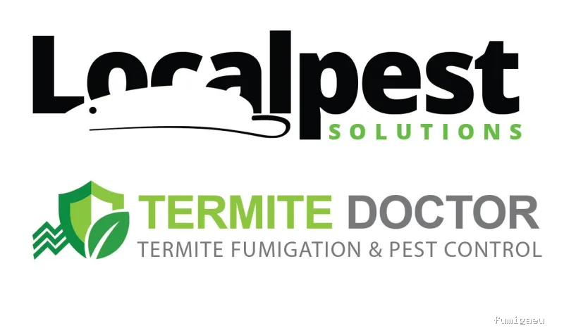 Termites Costa Del Sol