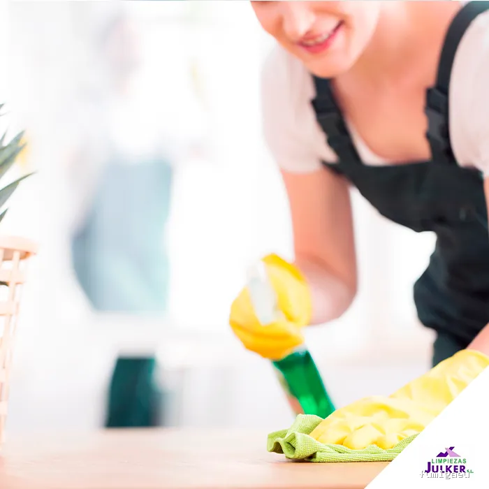 Limpiezas Julker S.l.