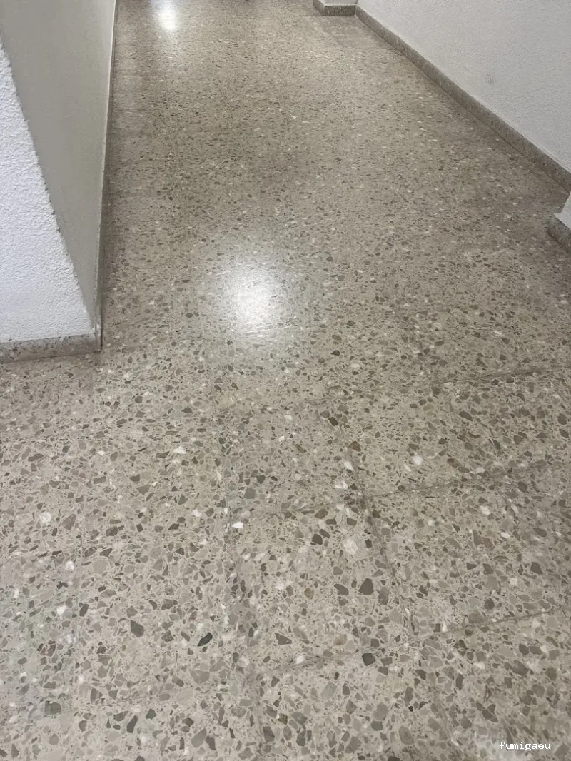 Servicios Biocidas Sr. Moncho