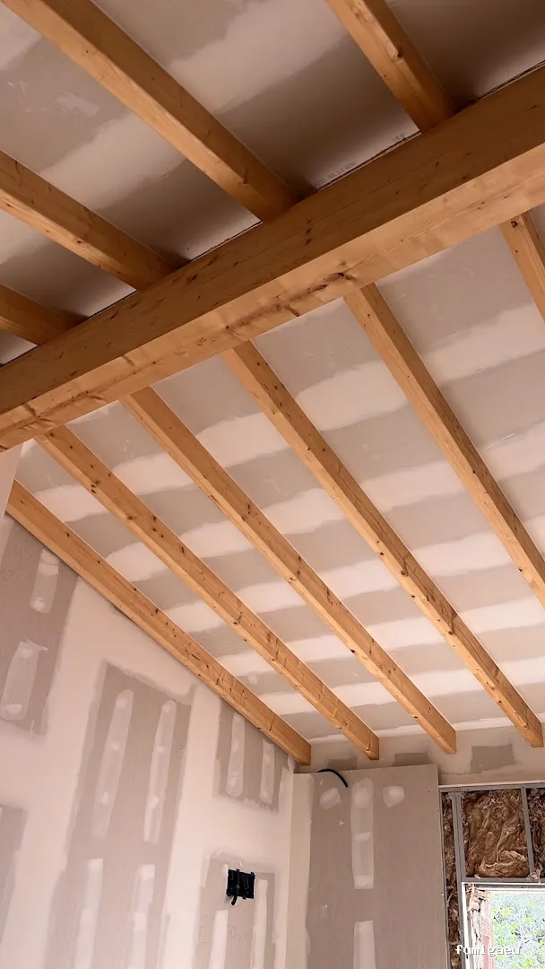 Servicios Biocidas Sr. Moncho