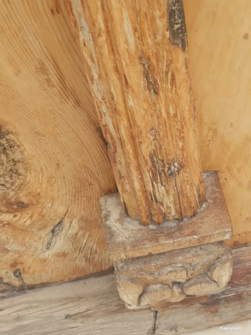 Servicios Biocidas Sr. Moncho