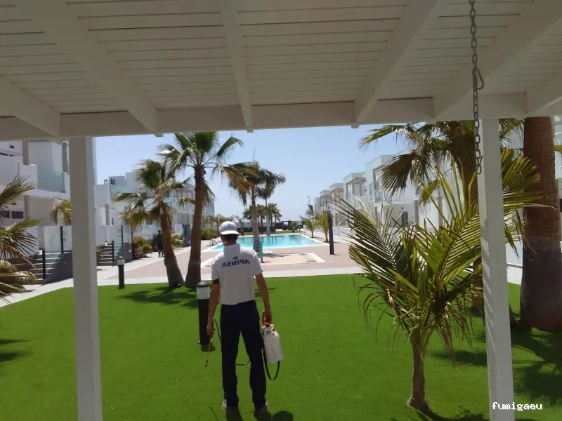 Apinsa Fuerteventura