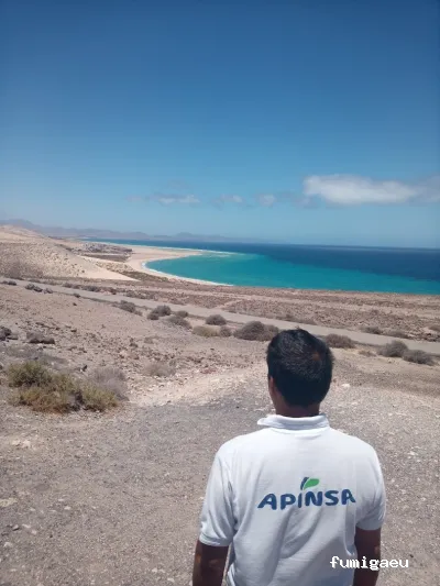 Apinsa Fuerteventura
