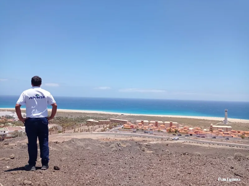 Apinsa Fuerteventura