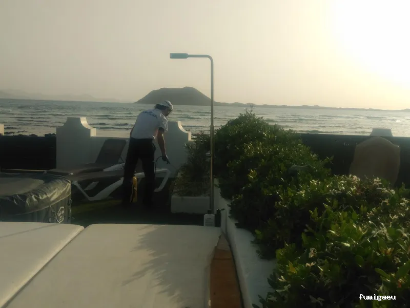 Apinsa Fuerteventura