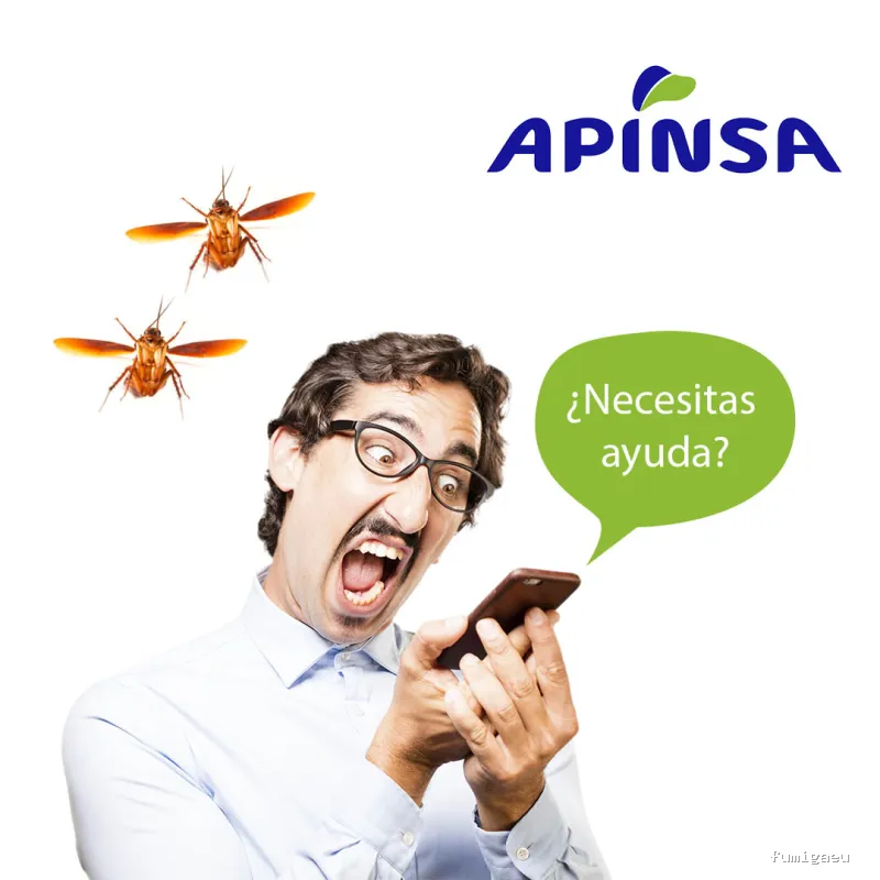 Apinsa Fuerteventura