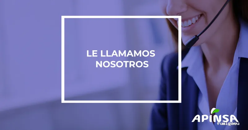 Apinsa Fuerteventura