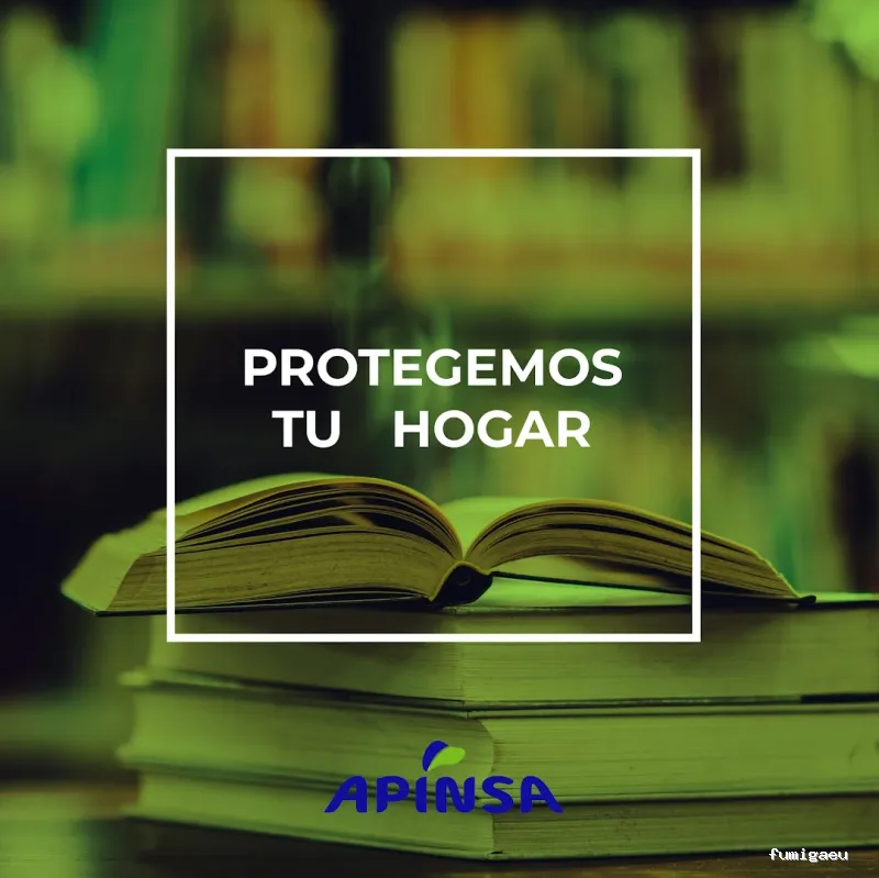 Apinsa Fuerteventura