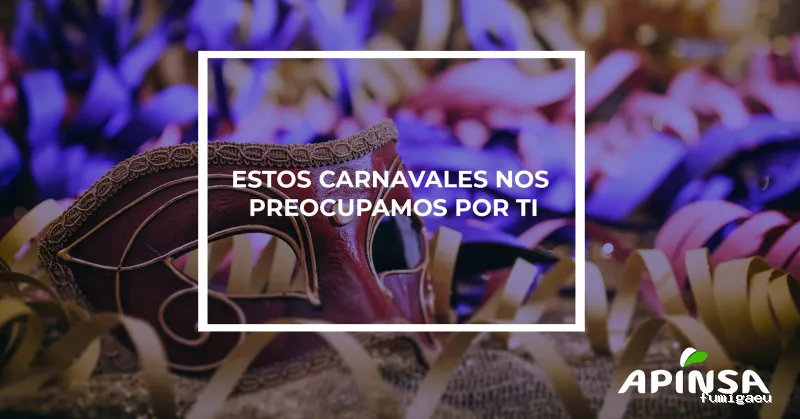 Apinsa Fuerteventura