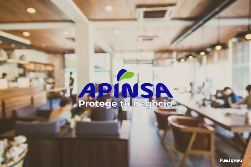 Apinsa Fuerteventura