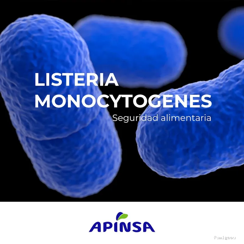 Apinsa Fuerteventura