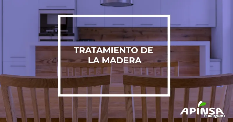 Apinsa Fuerteventura